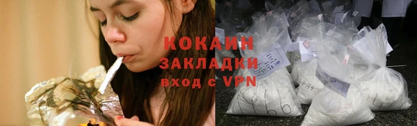 прущие грибы Аркадак
