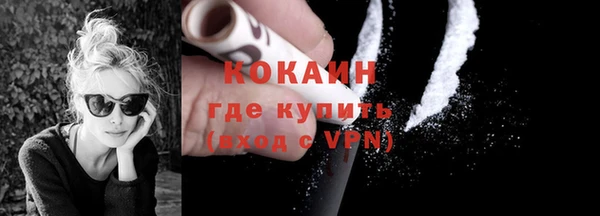 прущие грибы Аркадак