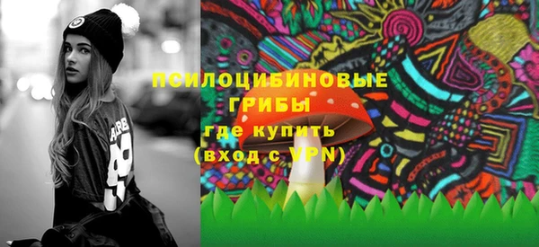 прущие грибы Аркадак