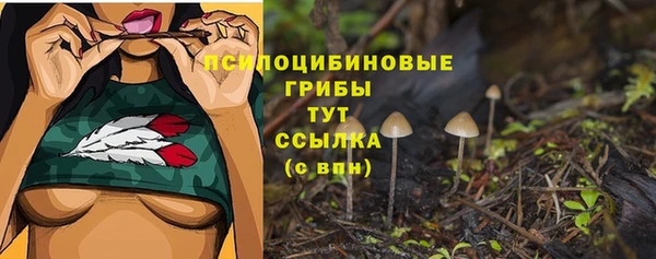 прущая мука Армянск