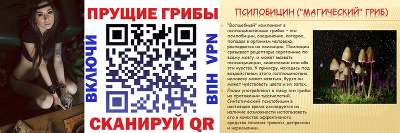 Псилоцибиновые грибы Psilocybine cubensis  сколько стоит  Струнино 
